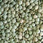 Green-Lentils-Richlea-150x150